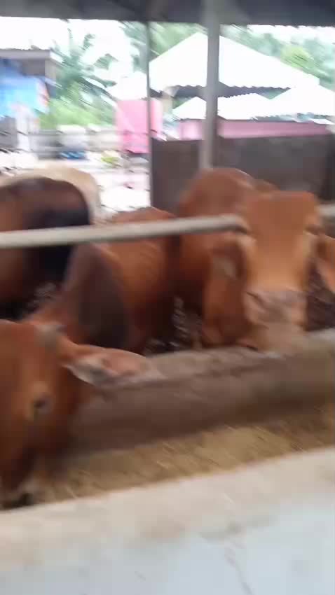 @Kumar Raj