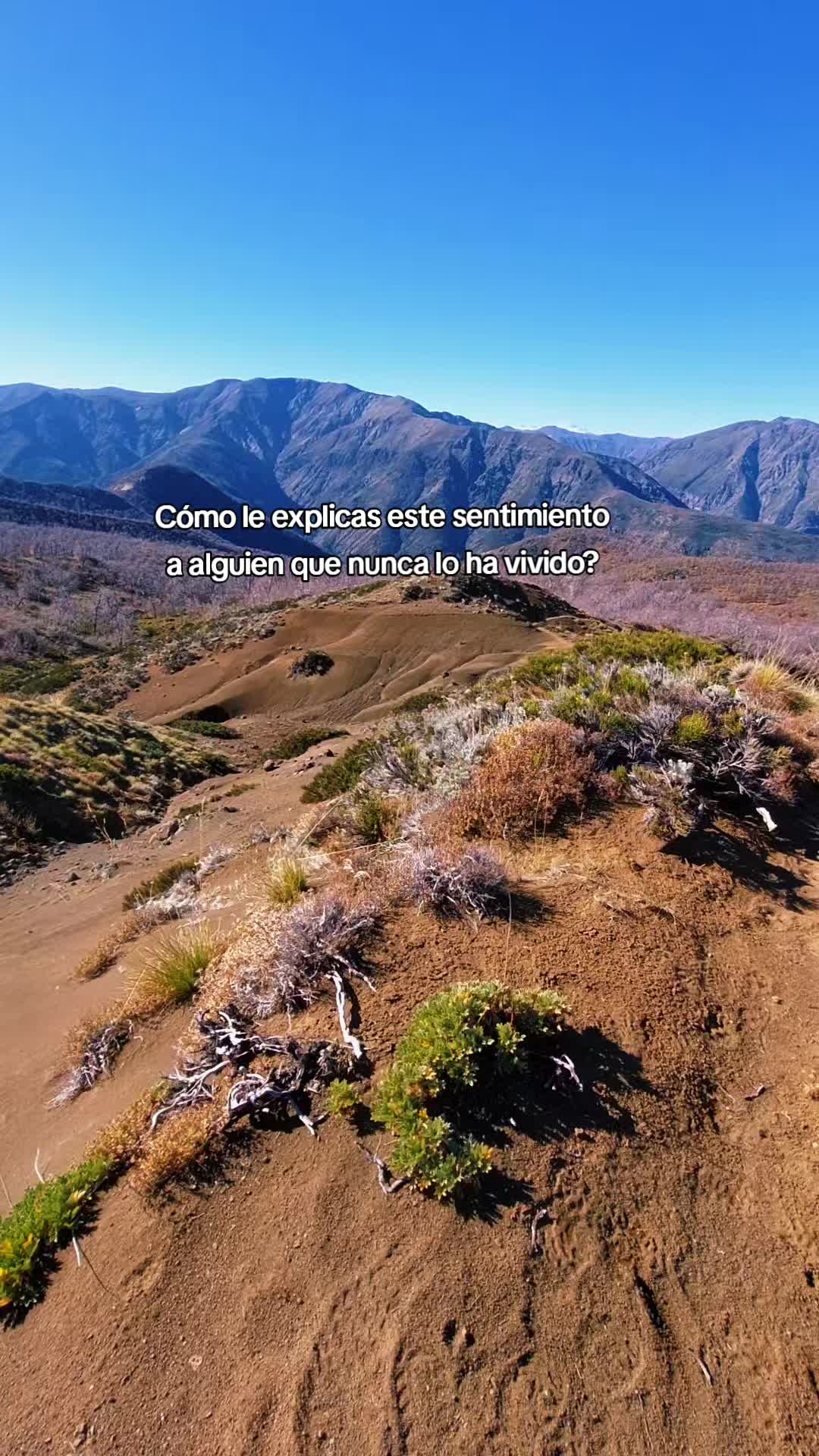 @almendra💞