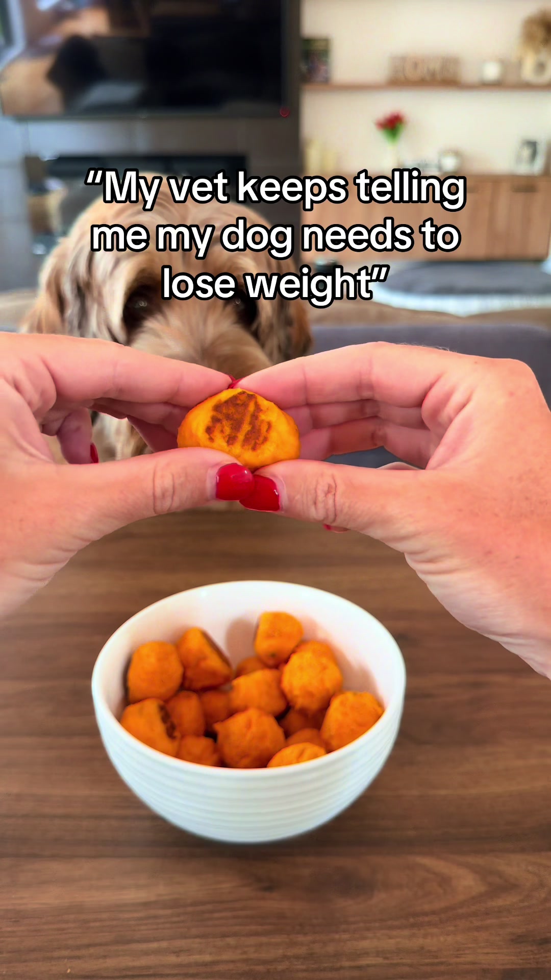 @Dogs Made Simple