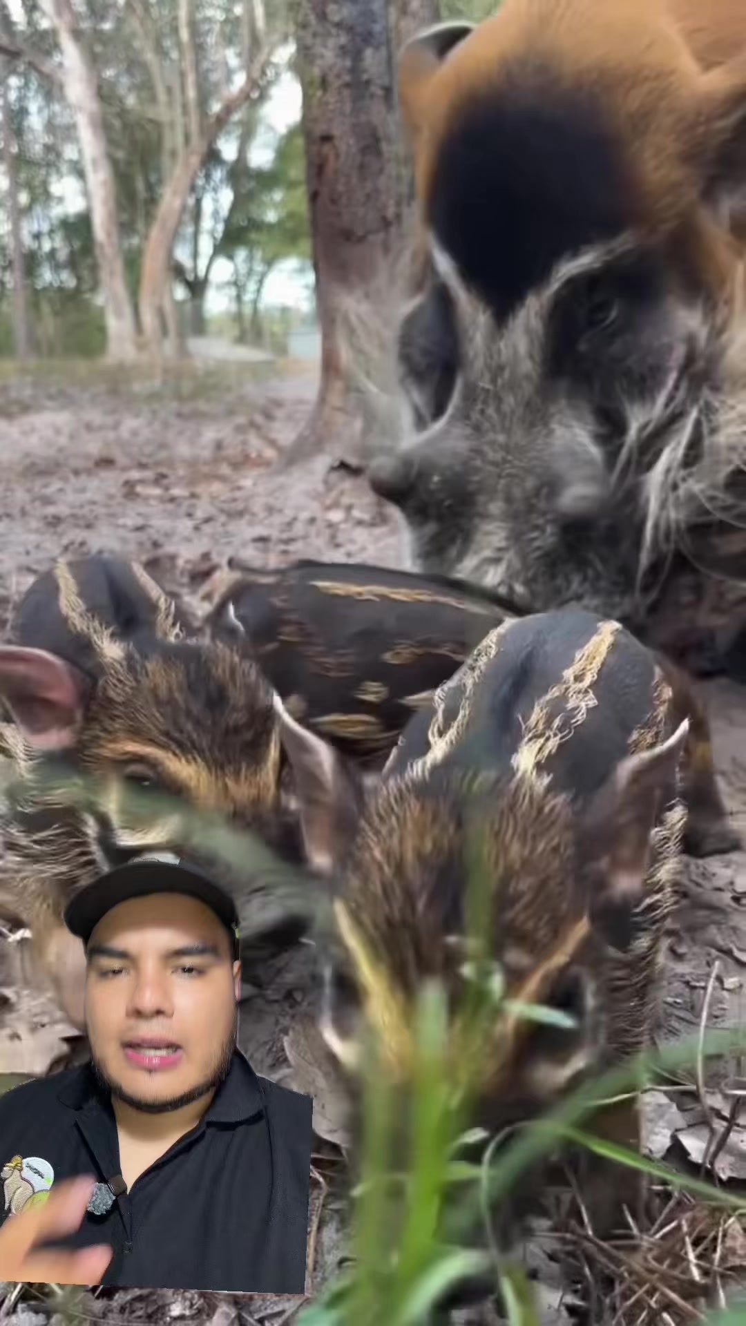 @Jair Herrera 🐆
