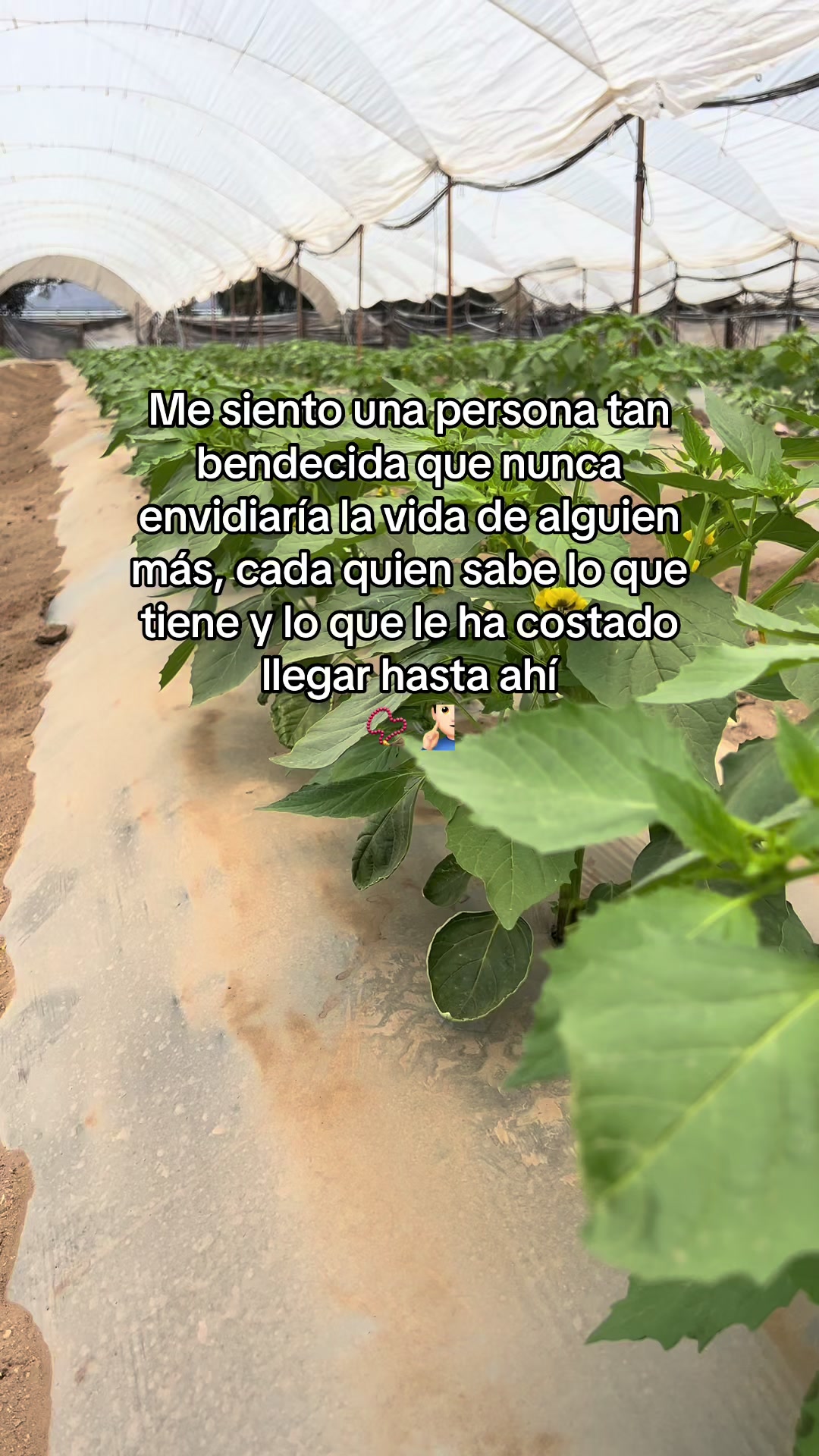 @agroboy_mx