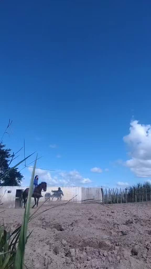 @leh