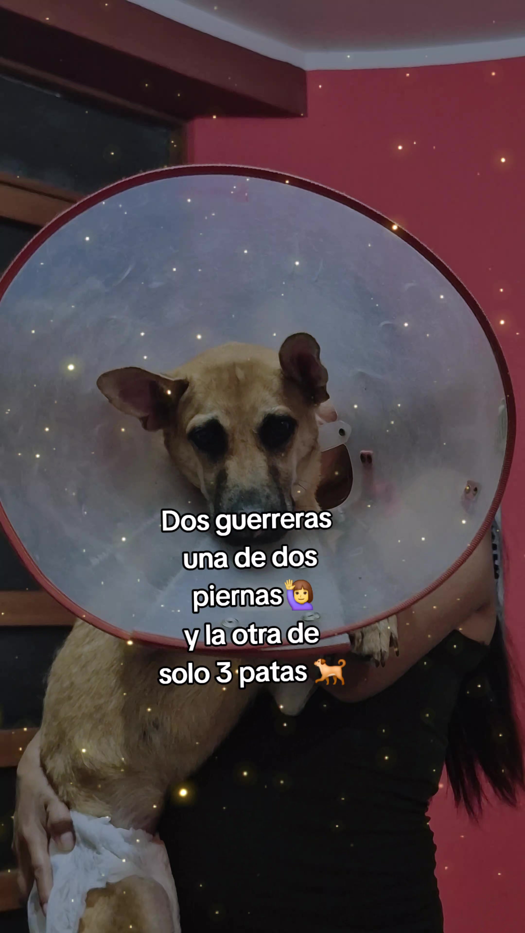 @Huellitasdeamorjaen