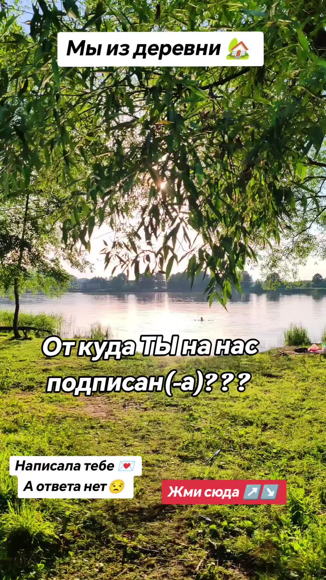 @🦋🌙7🇫 🇪 7🇾 🇦7🌙🦋
