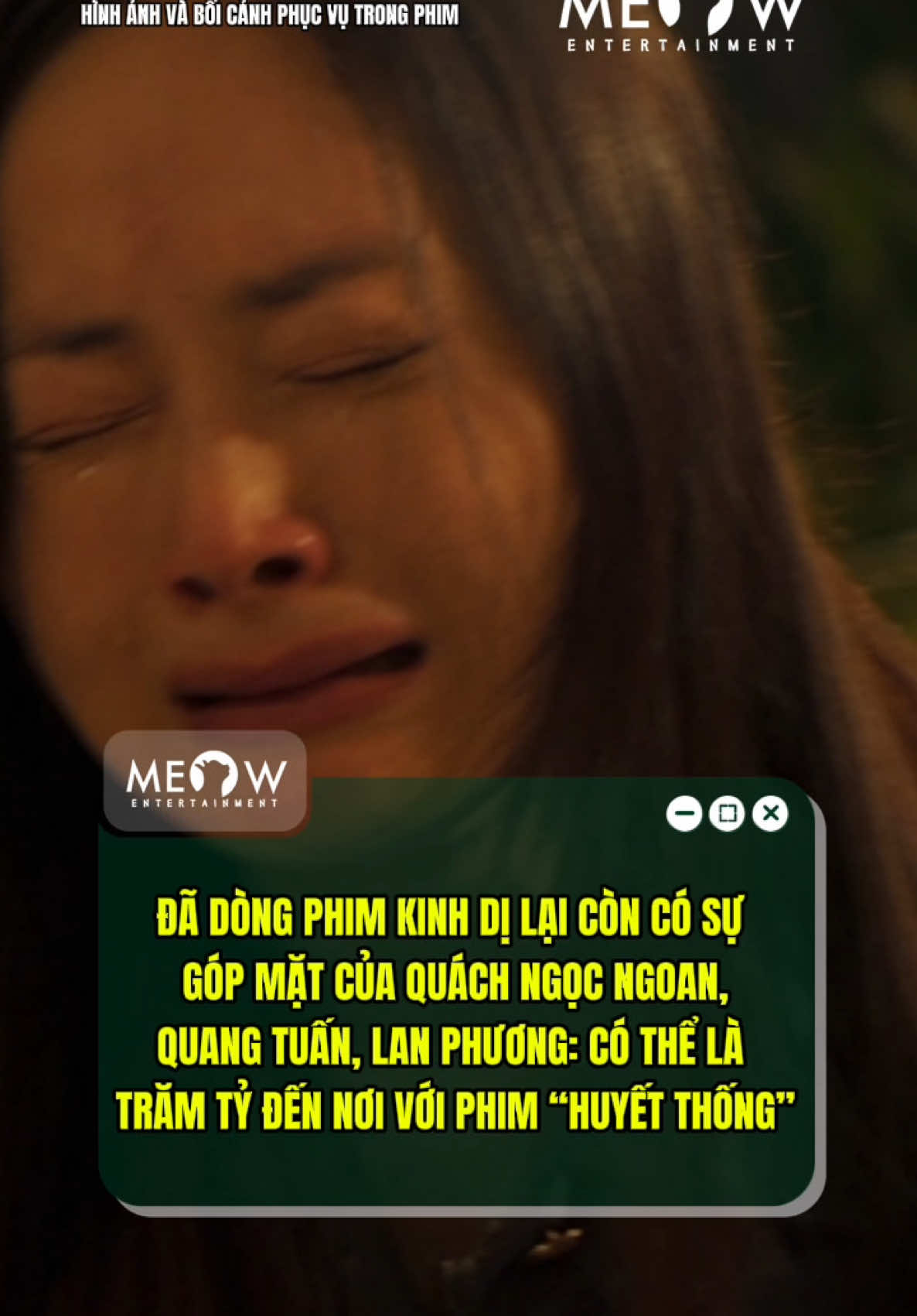 @MEOW ENTERTAINMENT