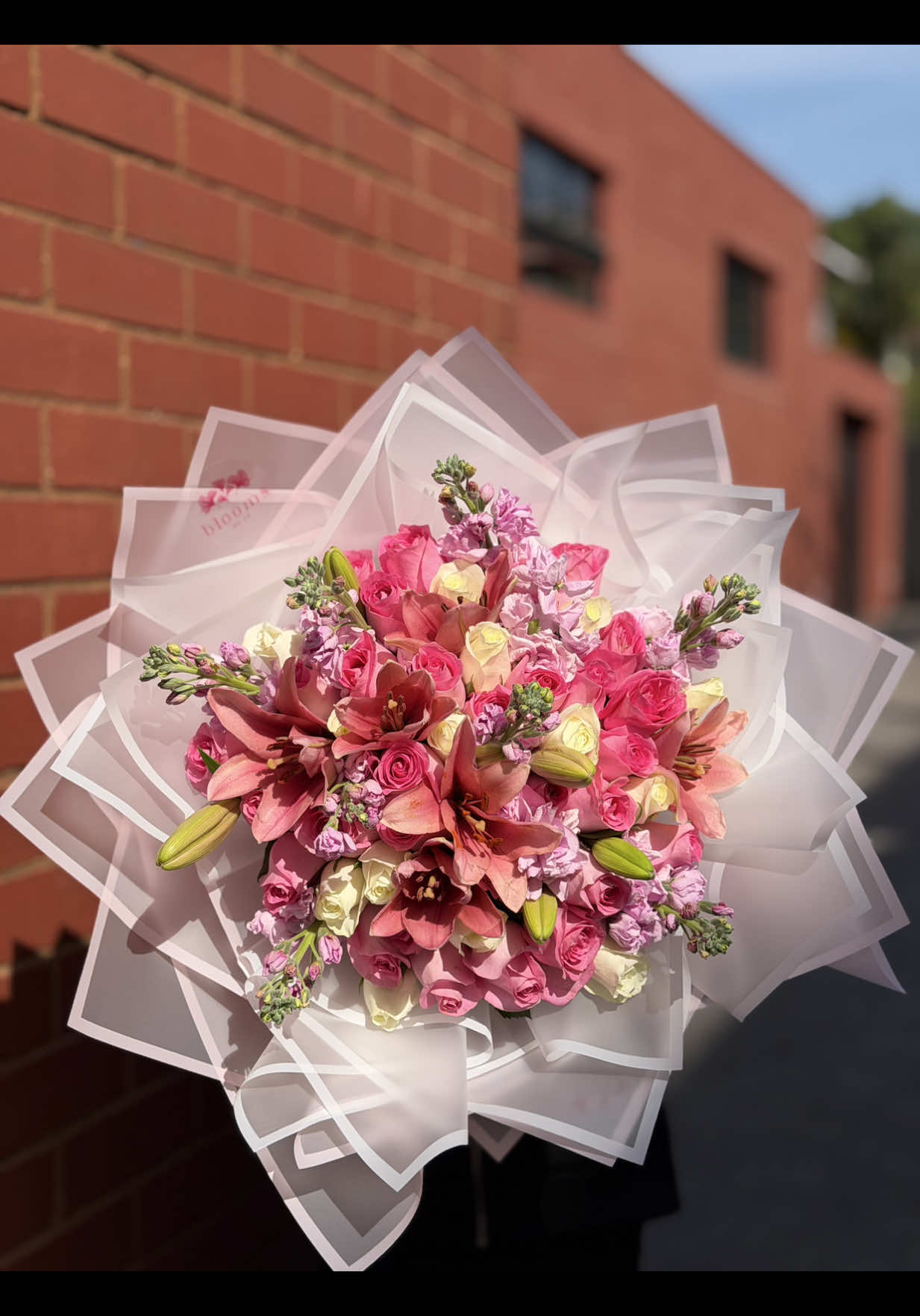 @Bloomsbyzn•Durban florist