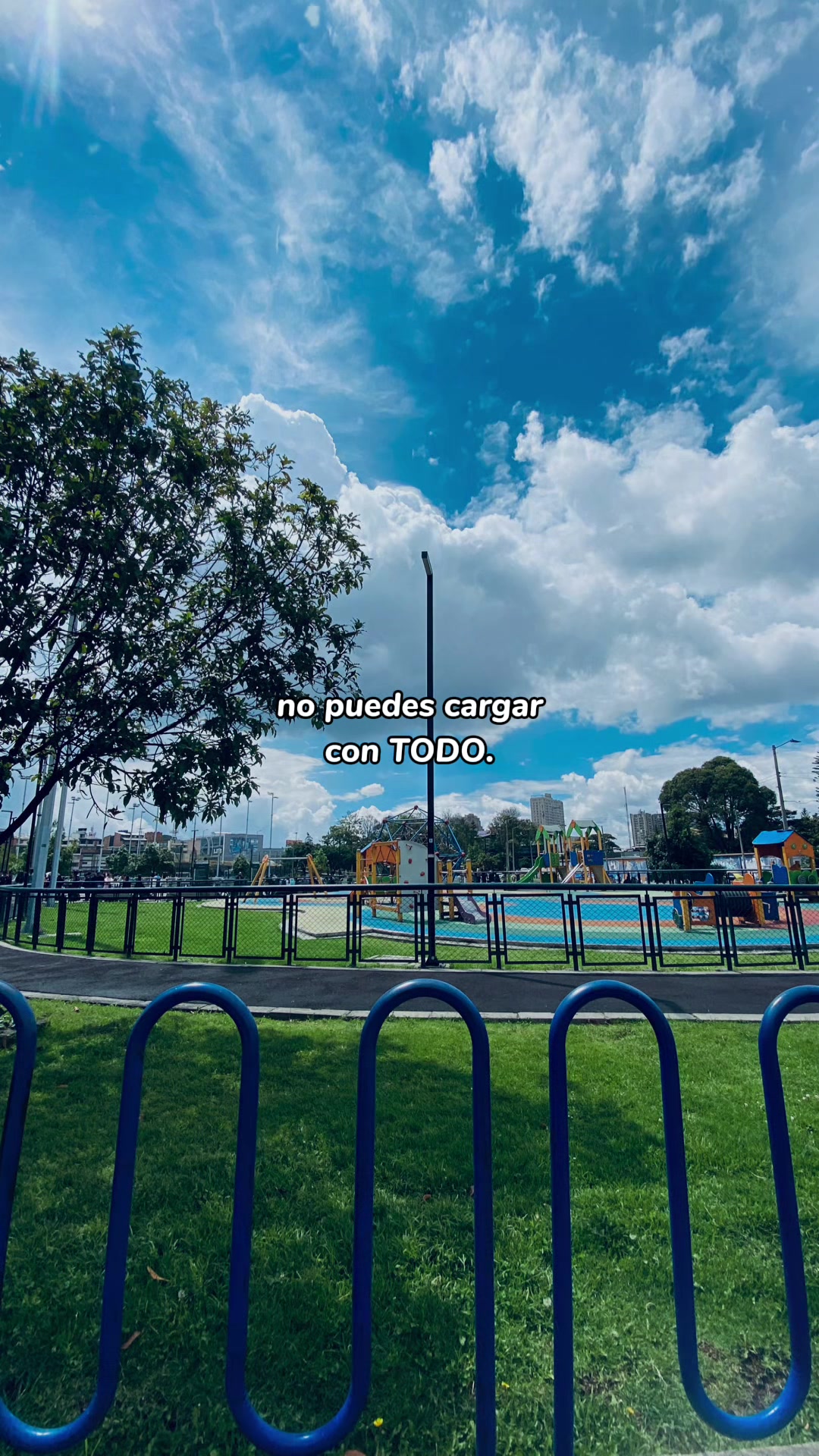 @Leidy Camargo Cascante