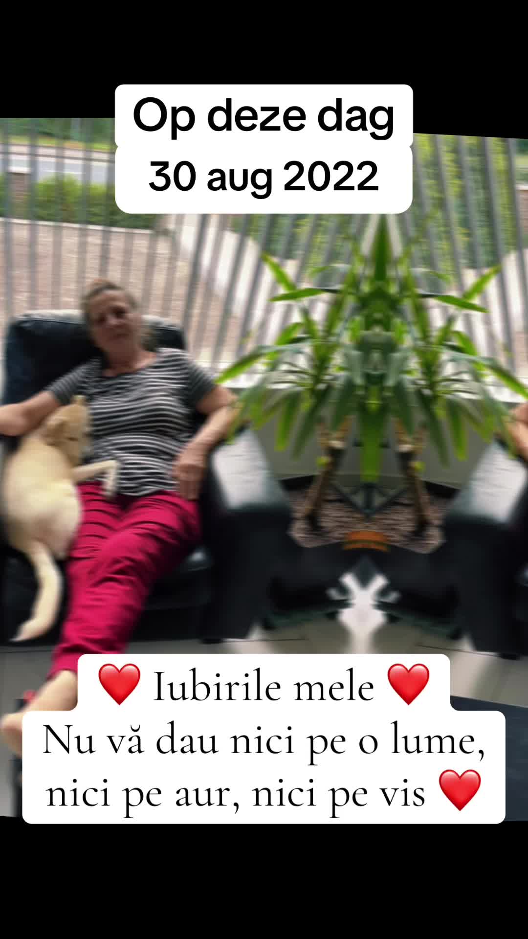@Alexandra Petrescu