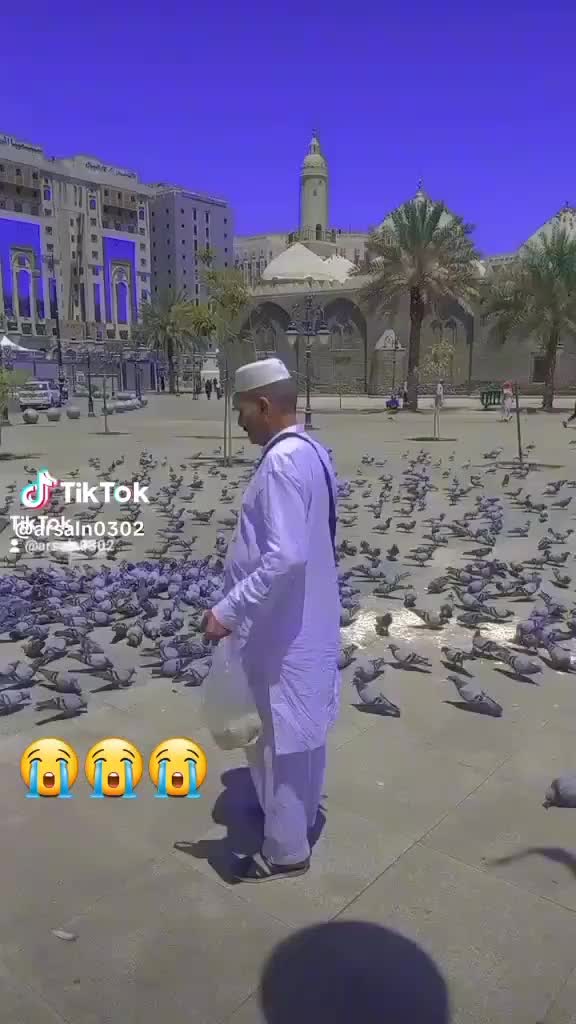 @shahabazbabar1