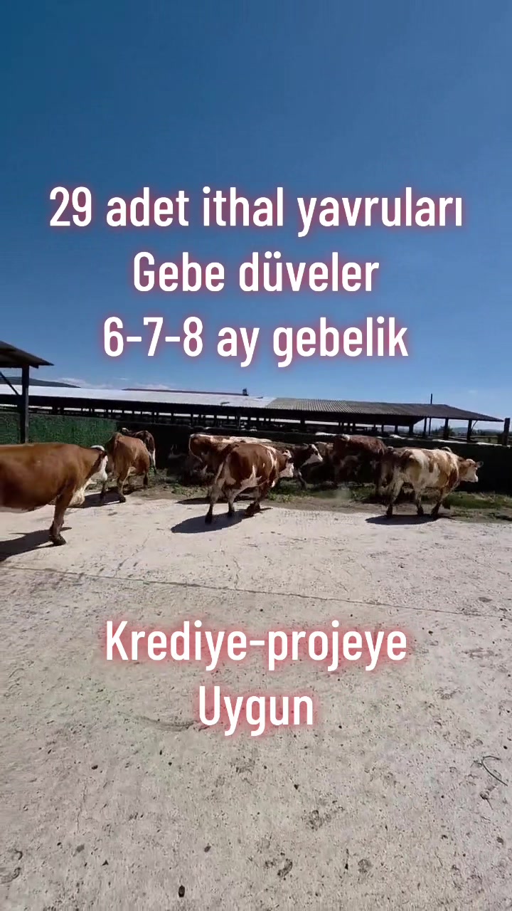 @Onur şahin 0544 842 73 19