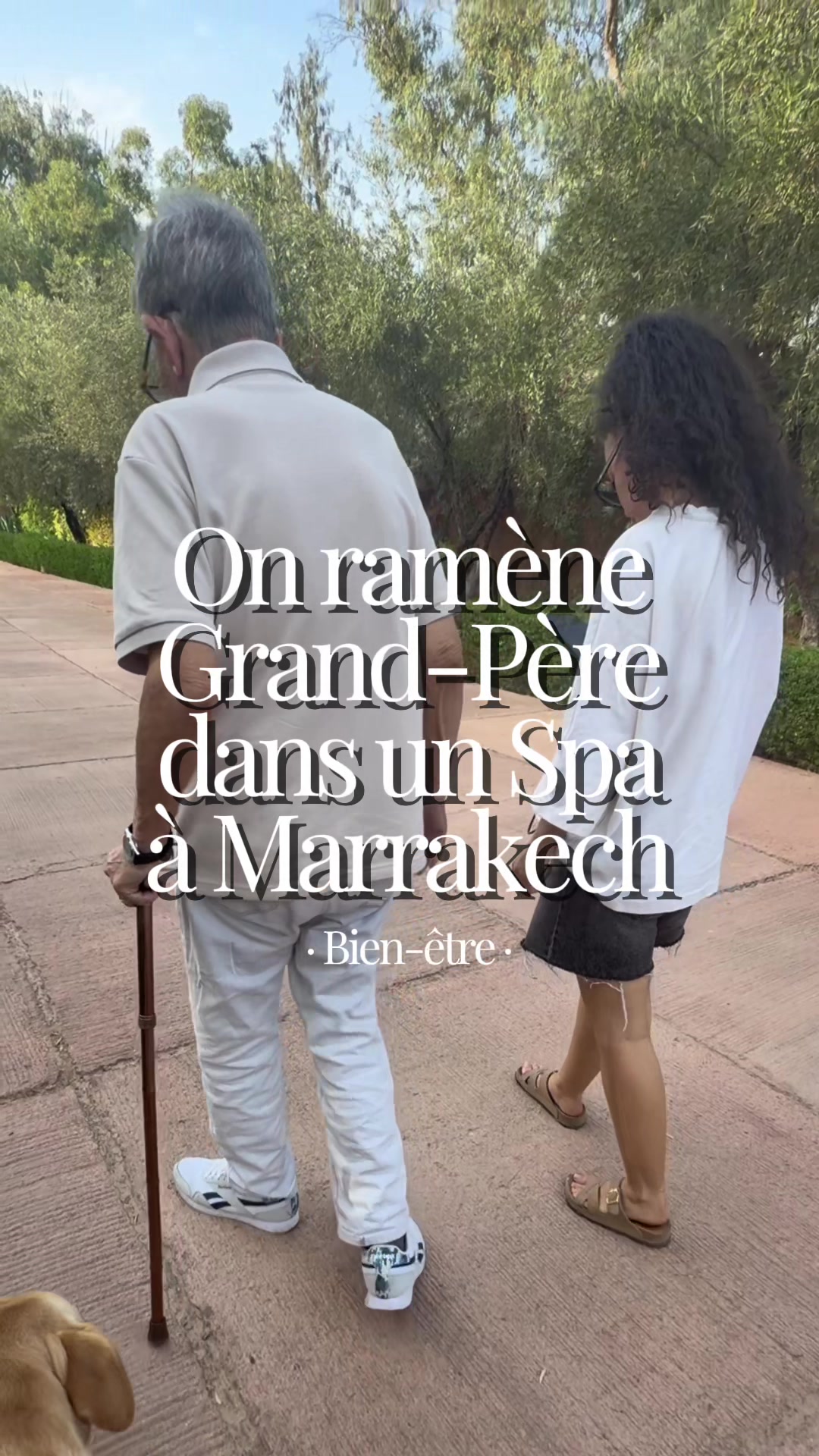 @MerciMaroc!