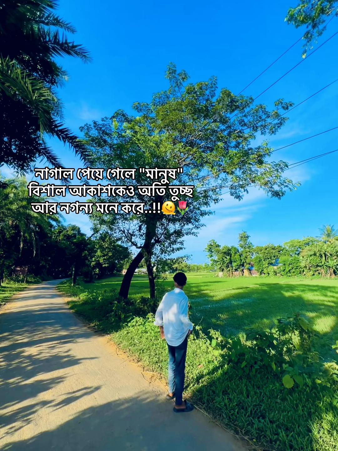 @টিক-টিকি
