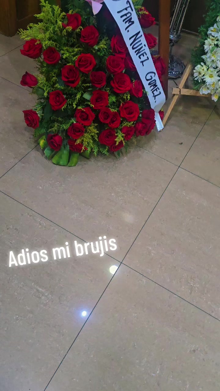 @LUCEROESTRELLADELAMAÑANA