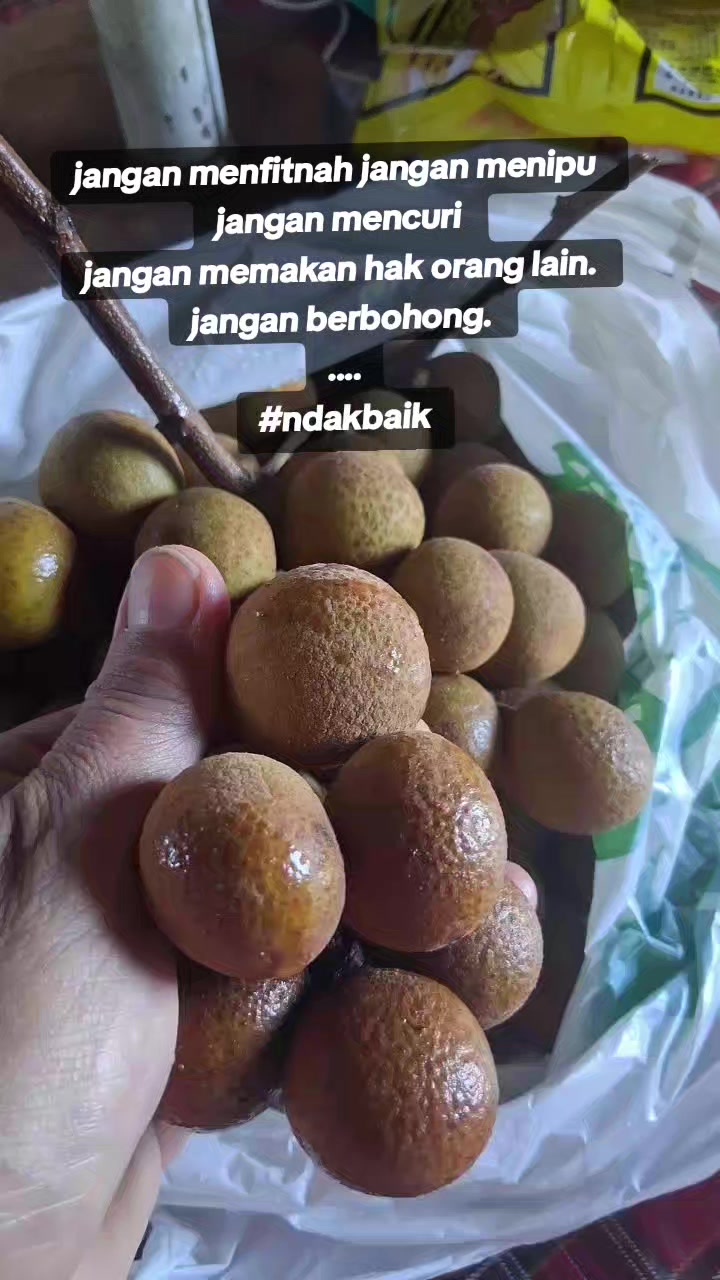 @Munasaroh