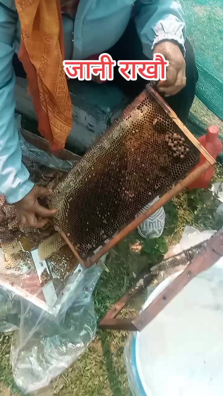 @AshishSuryabanshi123
