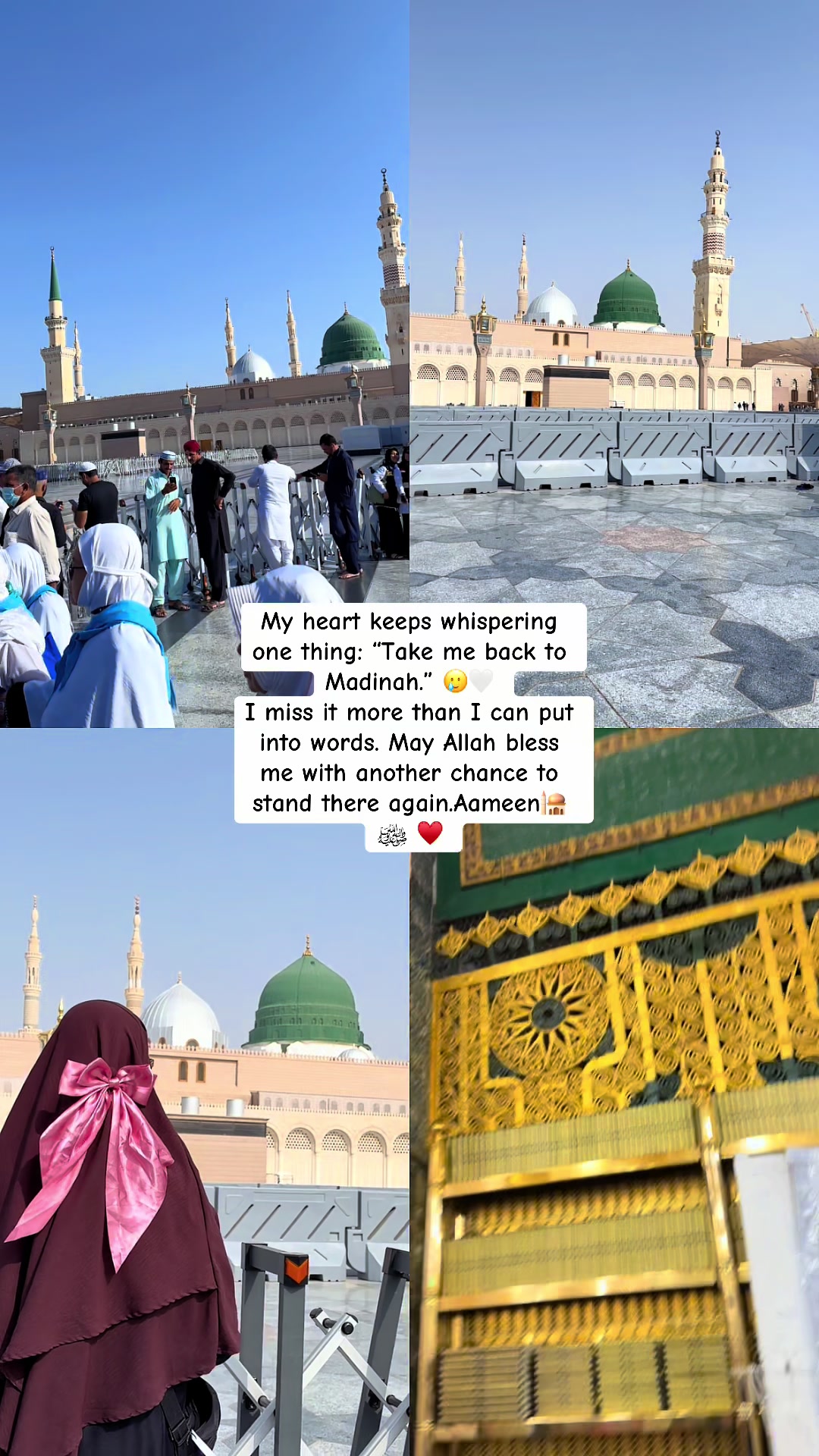 @🌻&hearts;️𝓐𝓮𝓶𝓲𝓷𝓢𝓱𝓪𝓪𝓷𝓪&hearts;️🌻