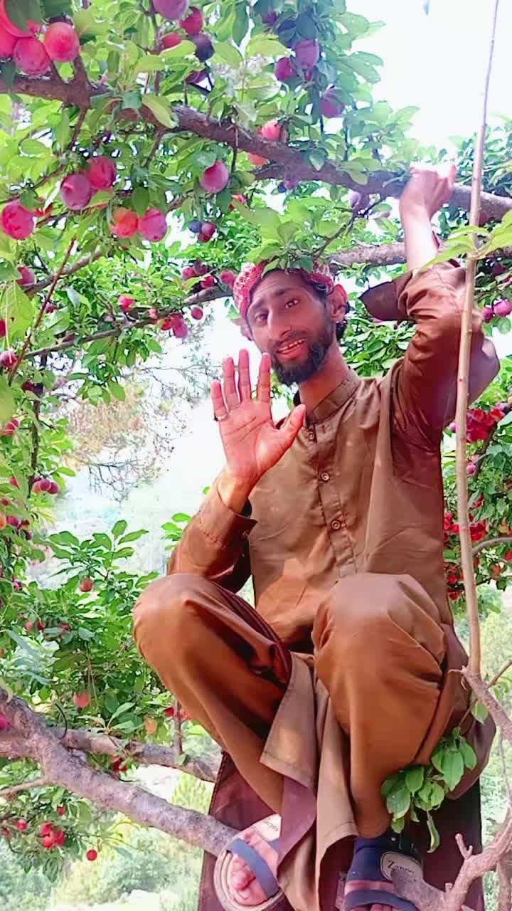 @کشمیر کا Don🍁