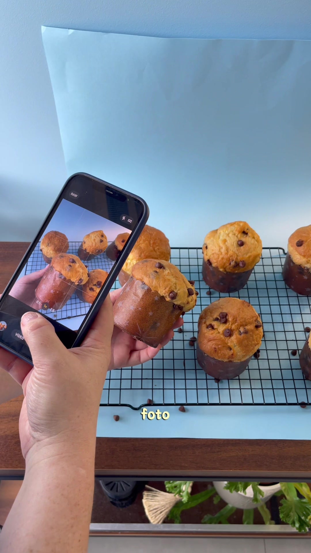 @Carina Lovera Repostera G