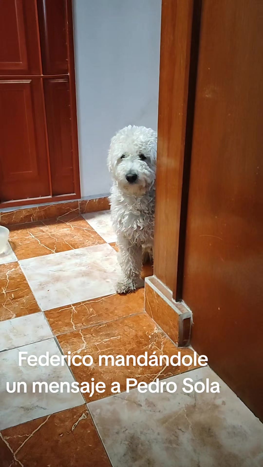 @ICO (Federico)