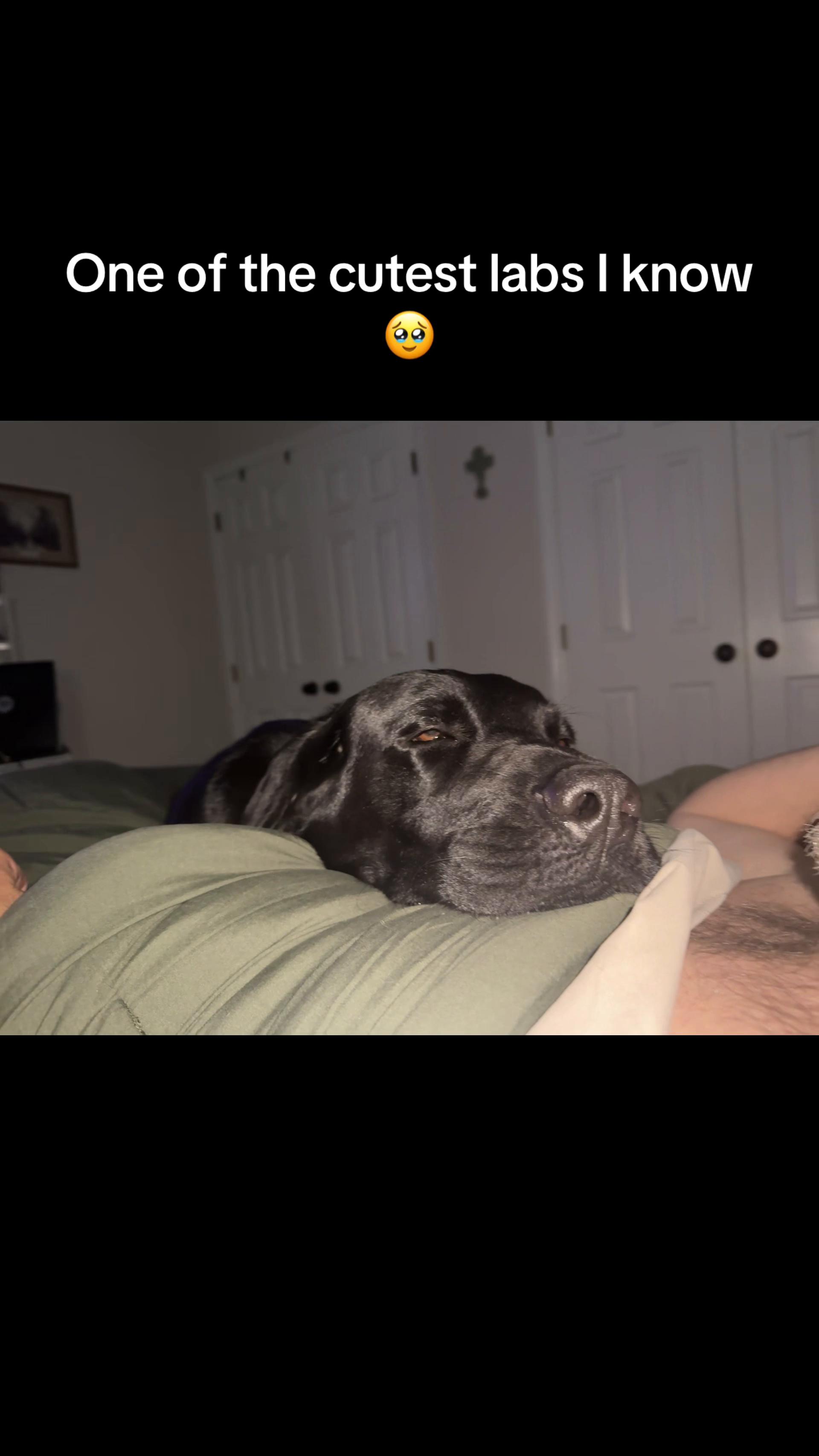 @weldergirl