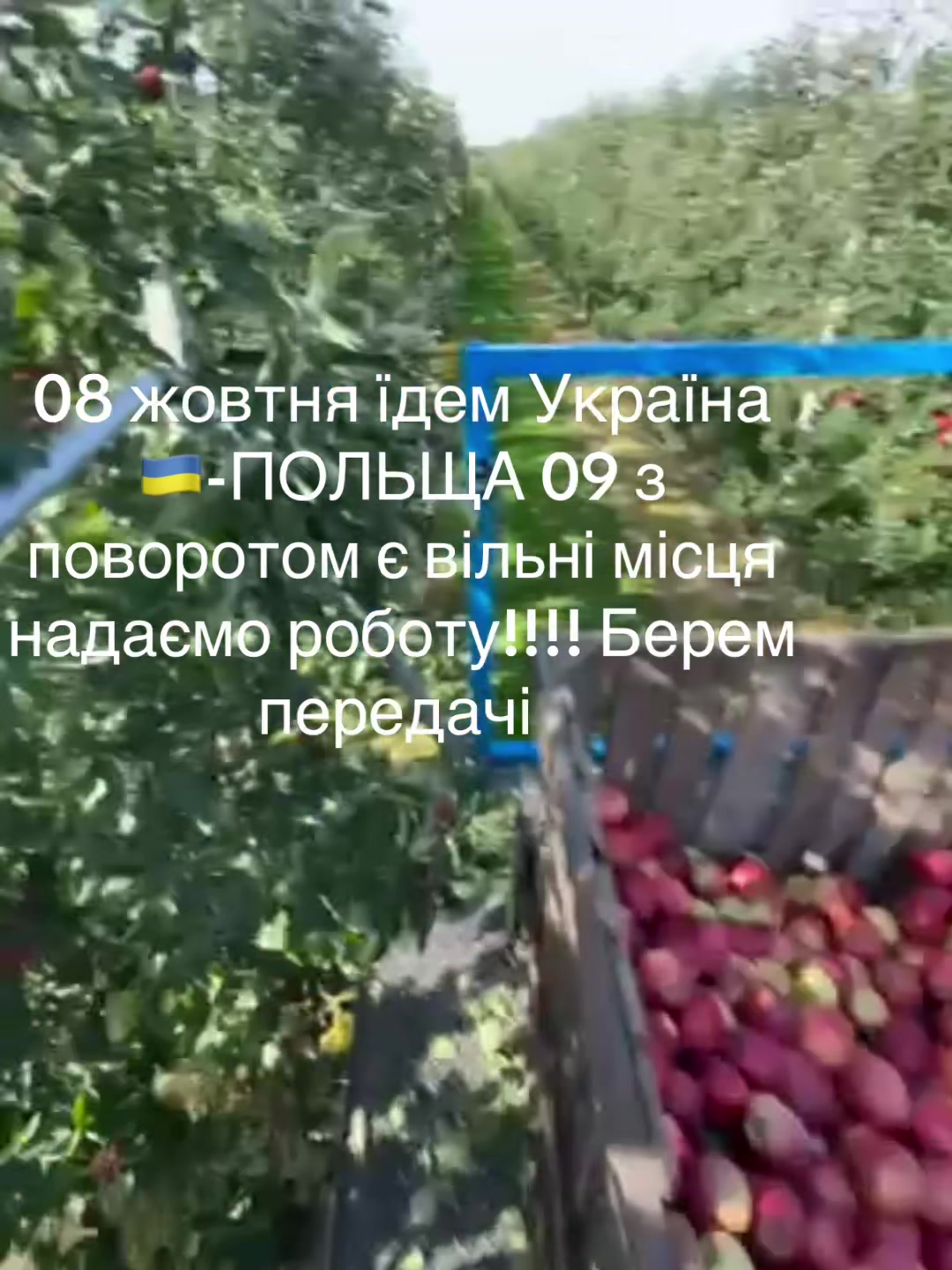 @Світлана