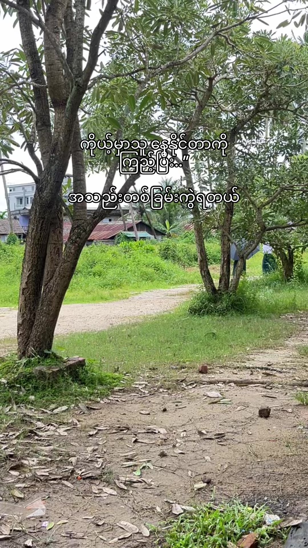 @Mi Lin