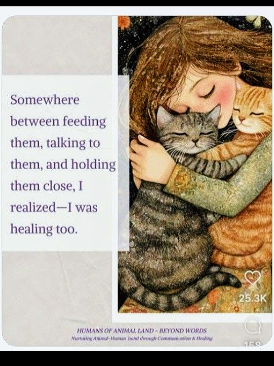 @MOTHEROFCATZ777