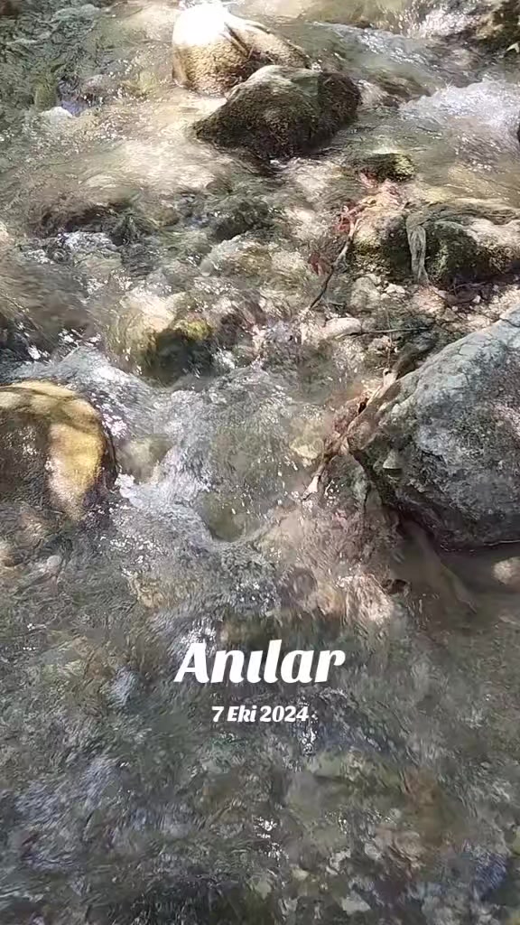 @hanım💐ağa🌹46