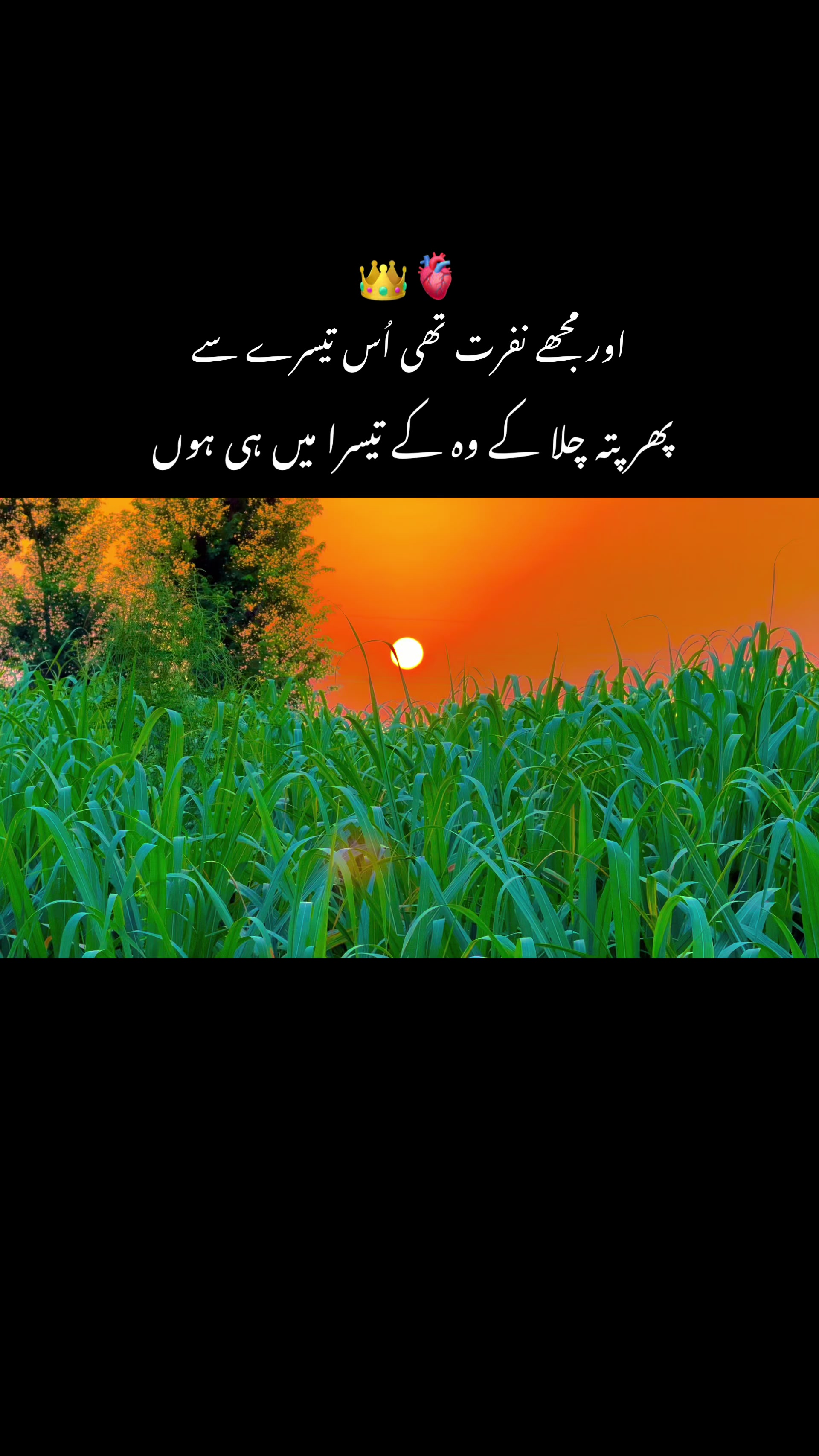 @پنجابی کلچر 🌾🍂