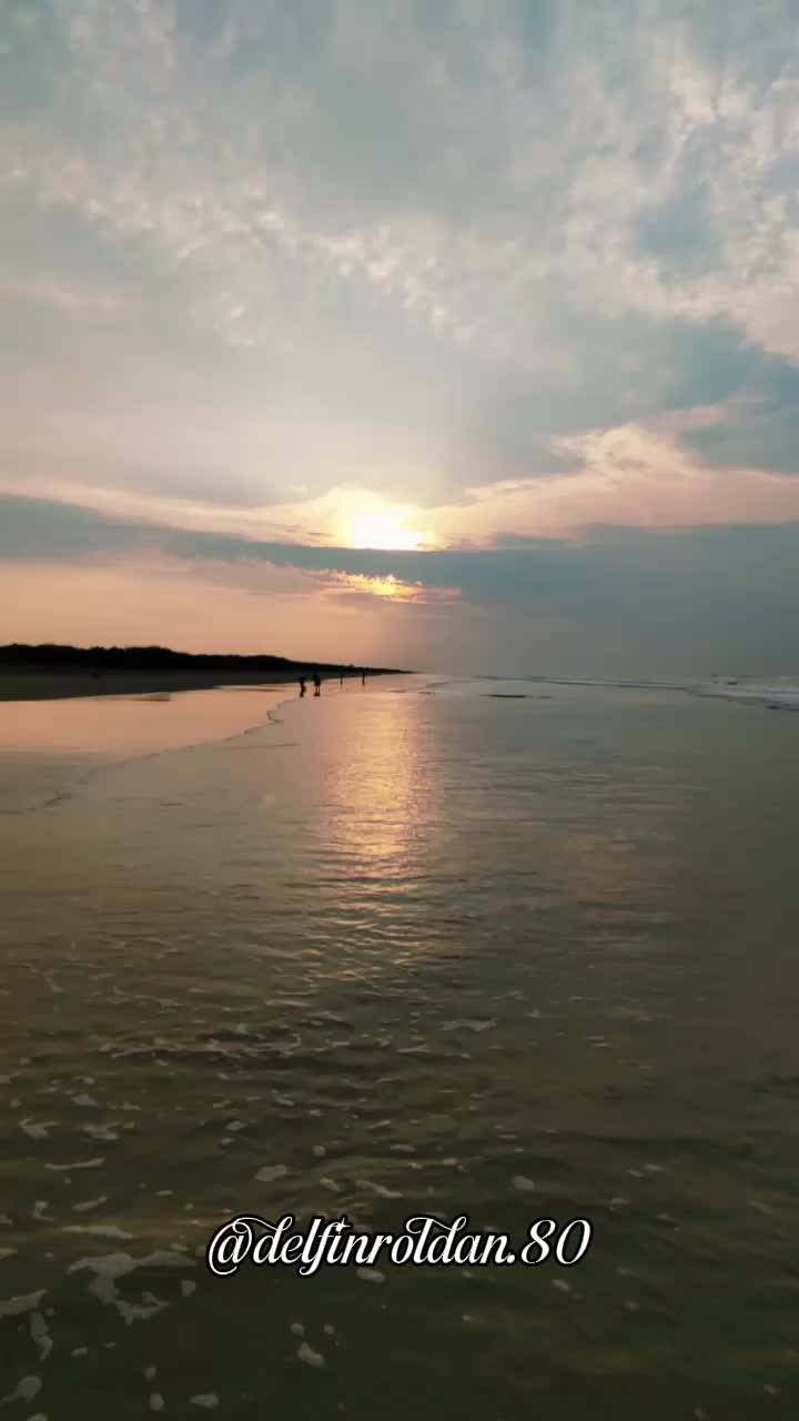 @Delfín🇪🇨