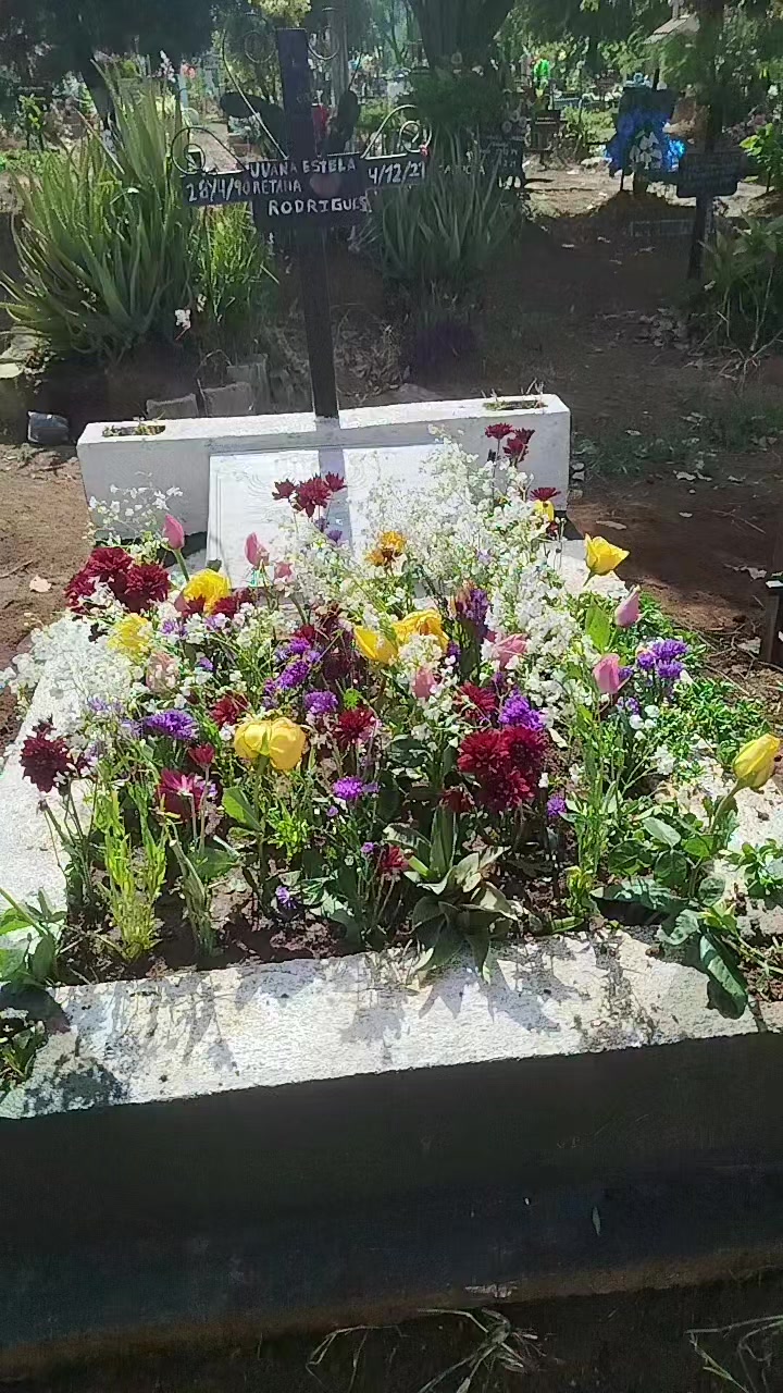 @mildi estrada