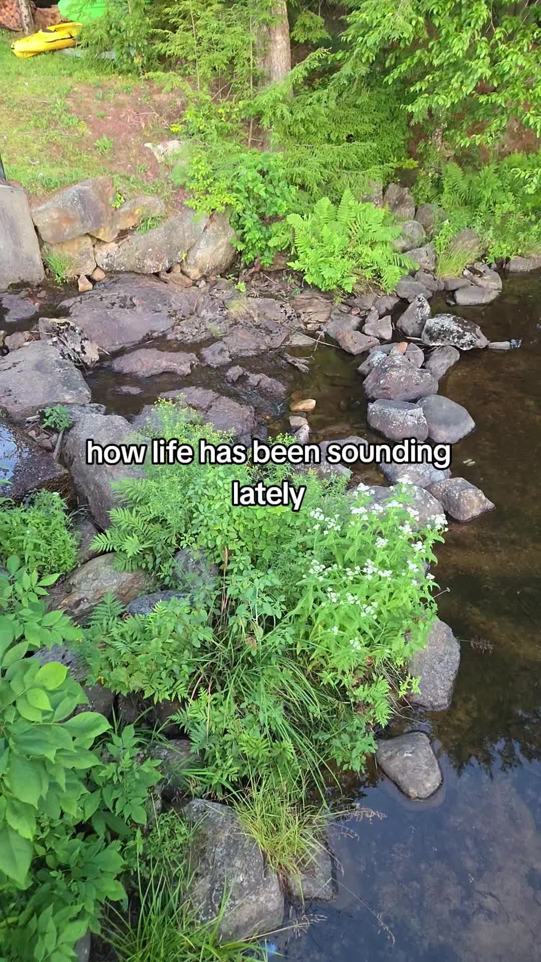 @your_local_emo_lady