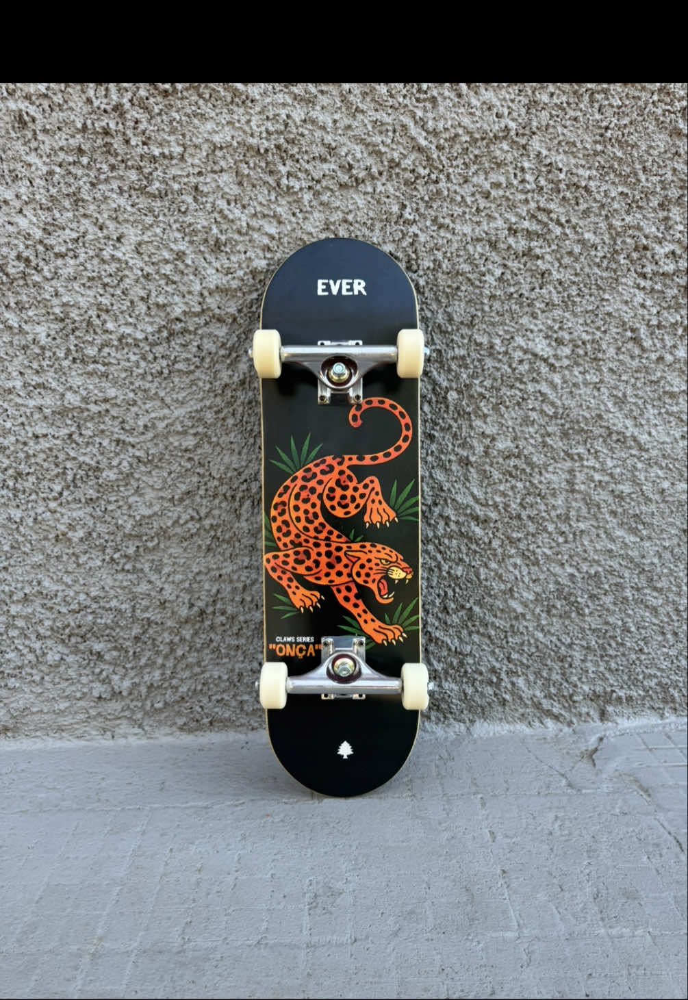 @Ever Skate Shop