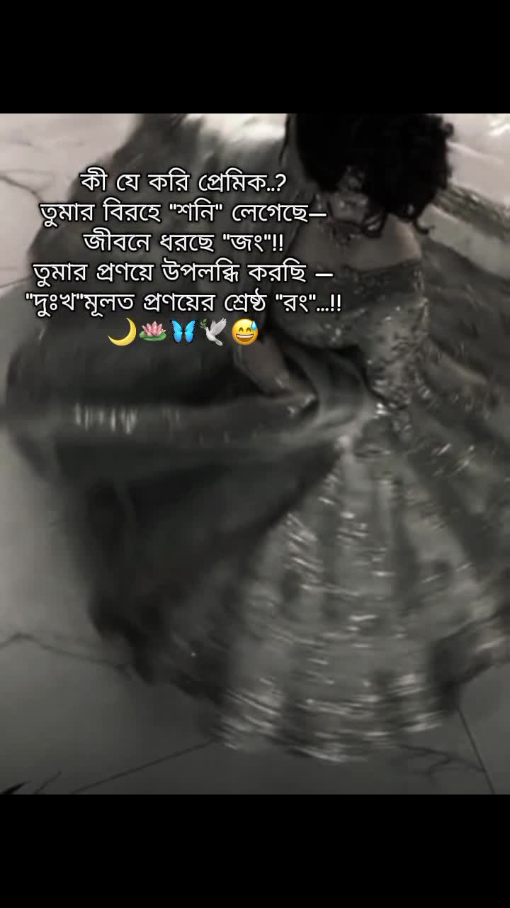 @𓇼 ⋆.˚ 𝗦𝘂𝗻𝗳𝗹𝗼𝘄𝗲𝗿🌻