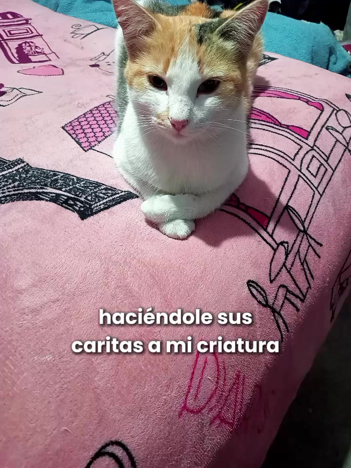 @Viridiana Cocoletzi