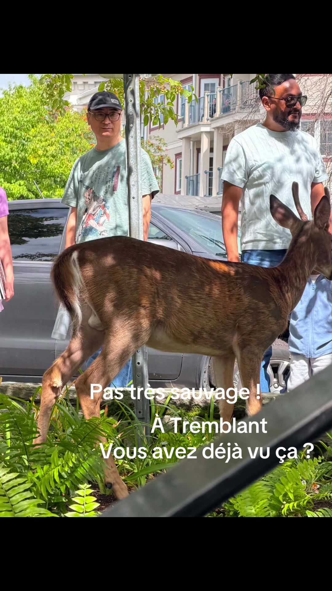 @Renée Entre Éducatrice