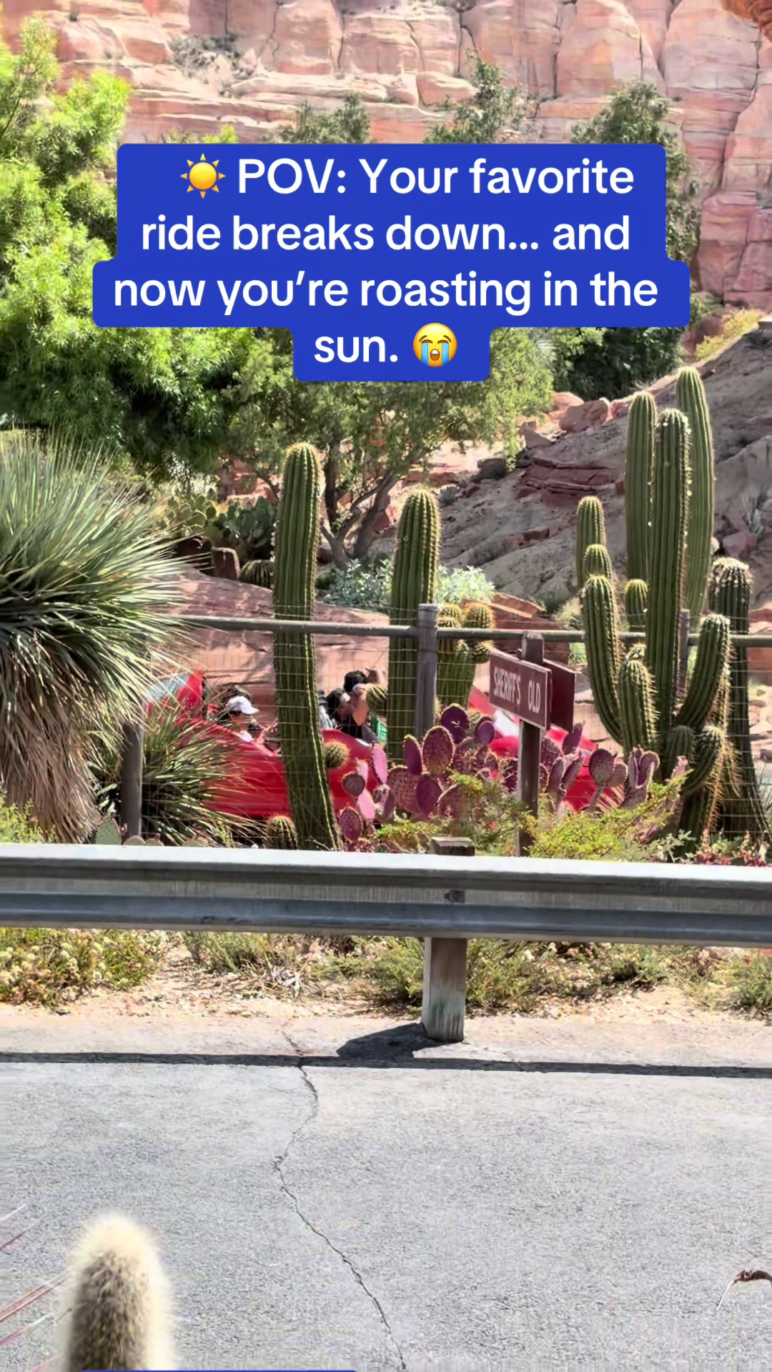 @tinarosethemeparklife