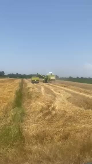 @korajkić