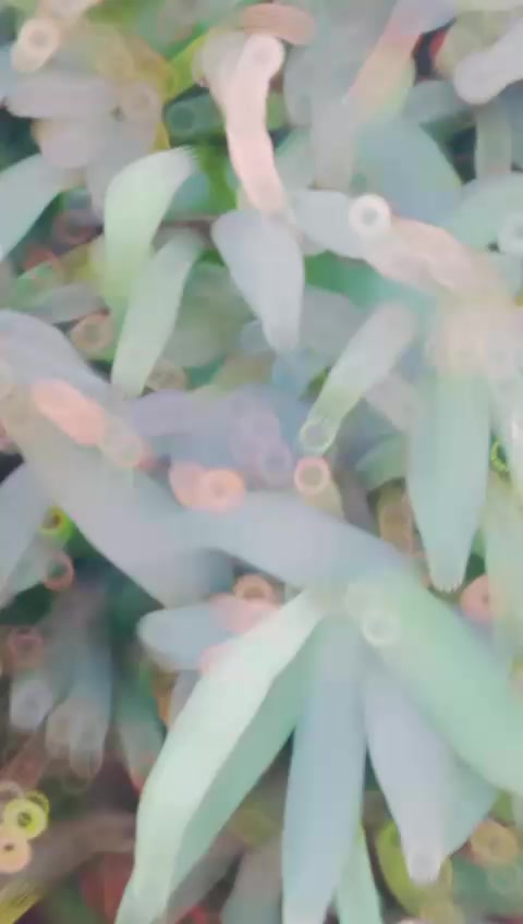 @محمد خان گوندل ❤️&zwj;🔥