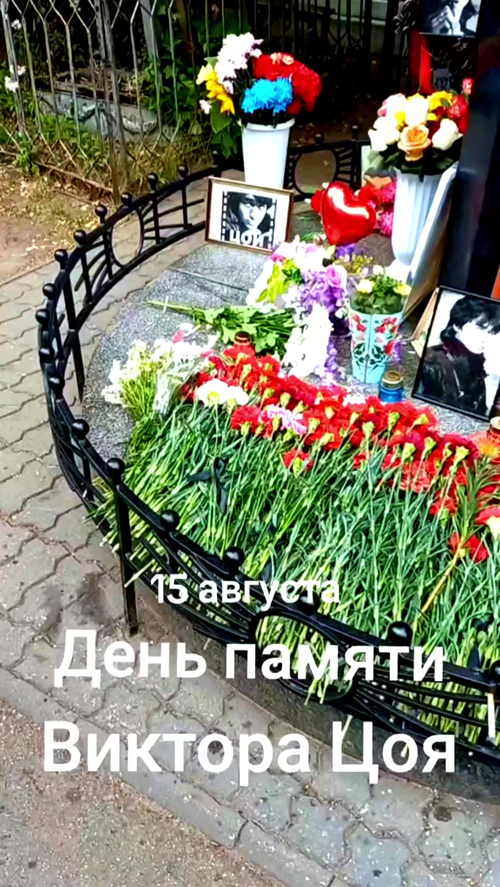@Yuliya