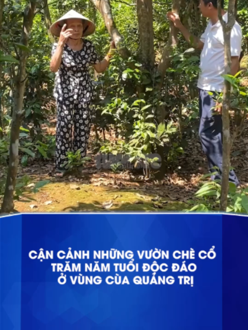 @B&aacute;o Tuổi Trẻ