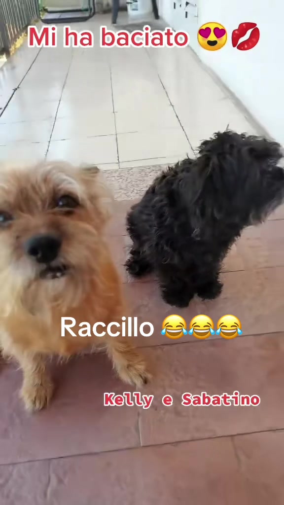 @❤️❤️❤️Rosy…..e…Gianni..❤️❤️❤️