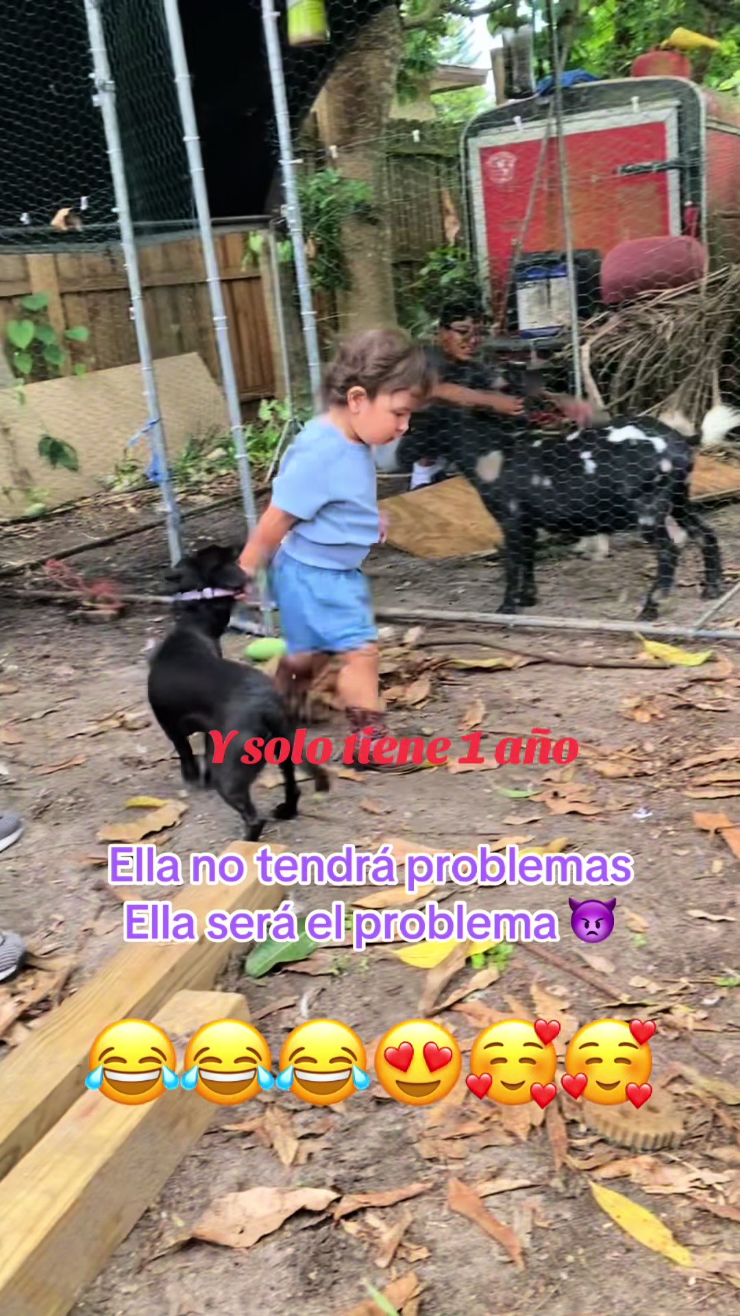 @Dulce