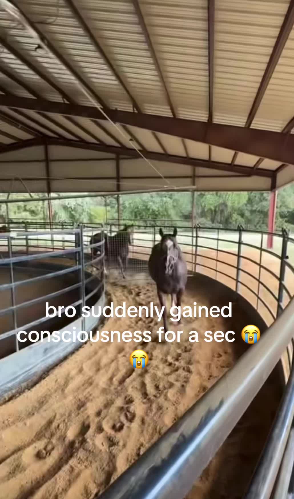 @jay