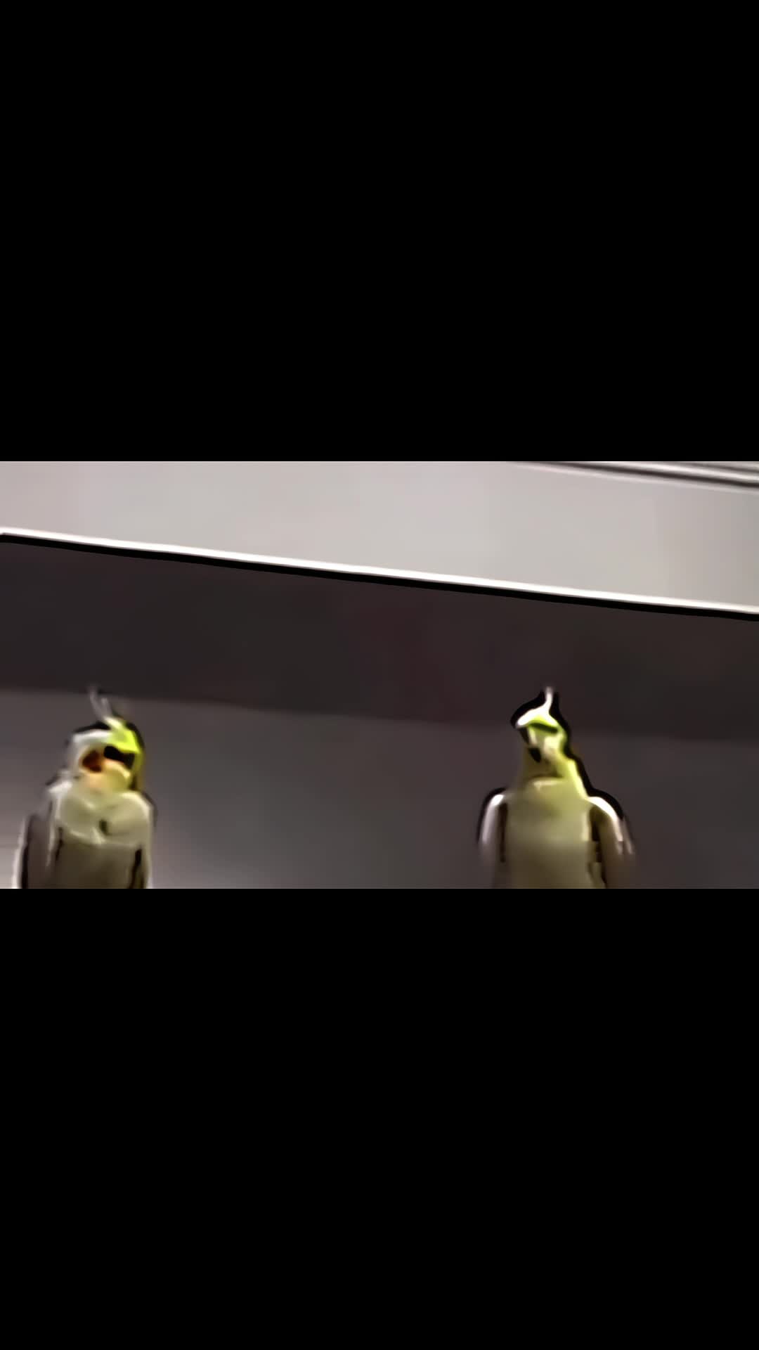 @Godgamin 🪐