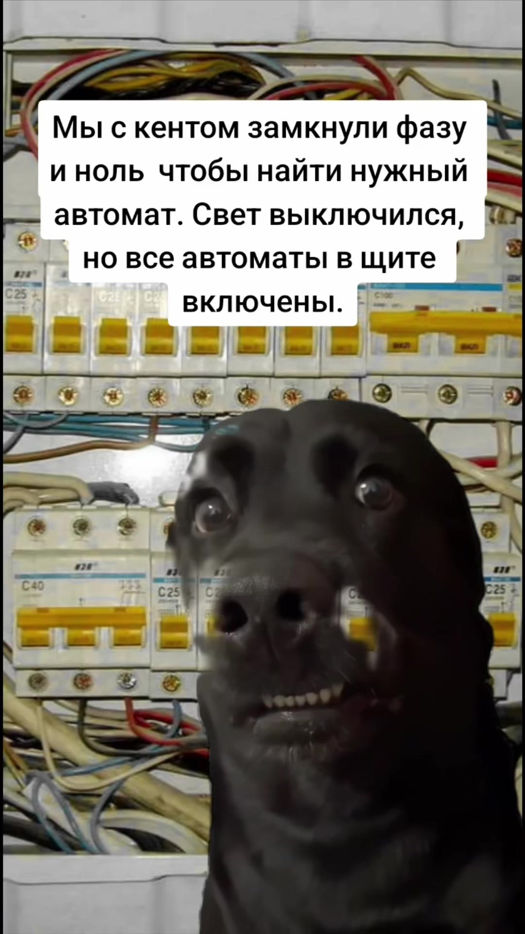 @МАЛКОНС ИНЖЕНЕРИЯ