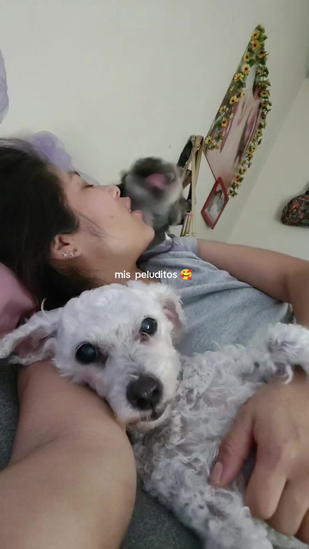 @Silvia🐾 borboleta 💞
