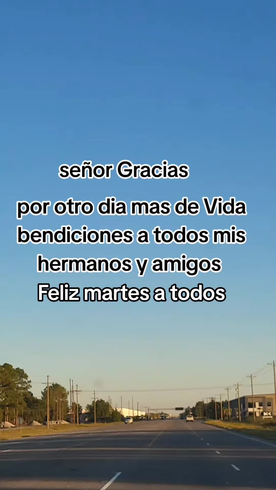 @🌻TERSITa🀄📖🕊deAki*🐺