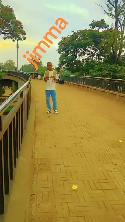 @kaaluu