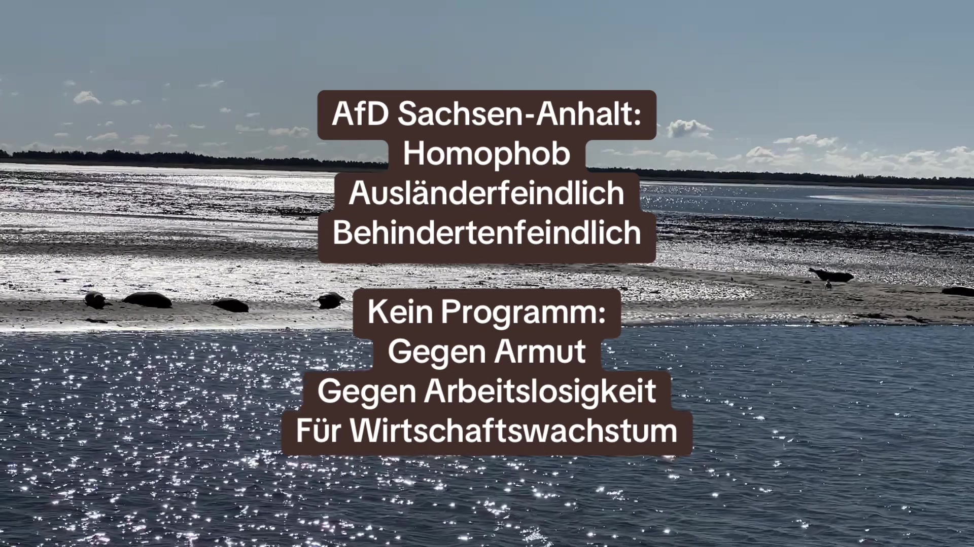 @Contra.AfD